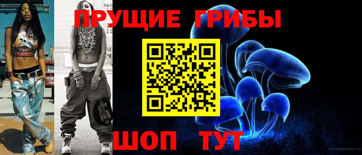 Псилоцибиновые грибы Psilocybine cubensis  Вход с VPN  Энгельс 