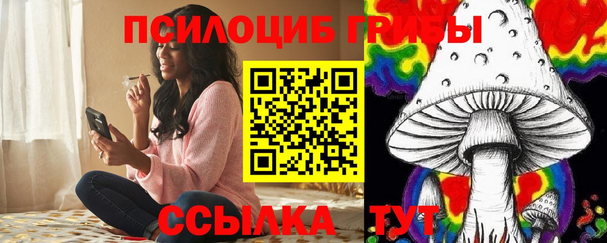 Псилоцибиновые грибы GOLDEN TEACHER Энгельс